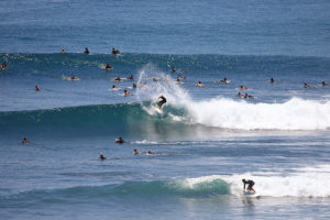 Trestles Surf