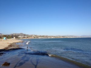 dana point real estate